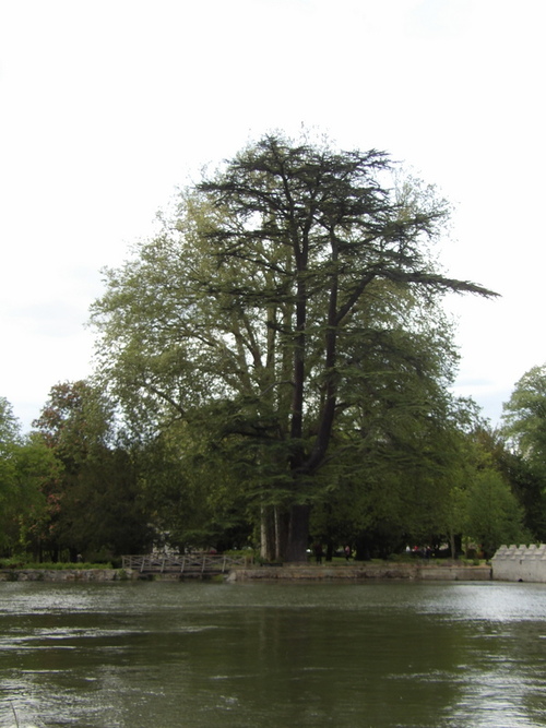 Le château d'Azay-le-Rideau