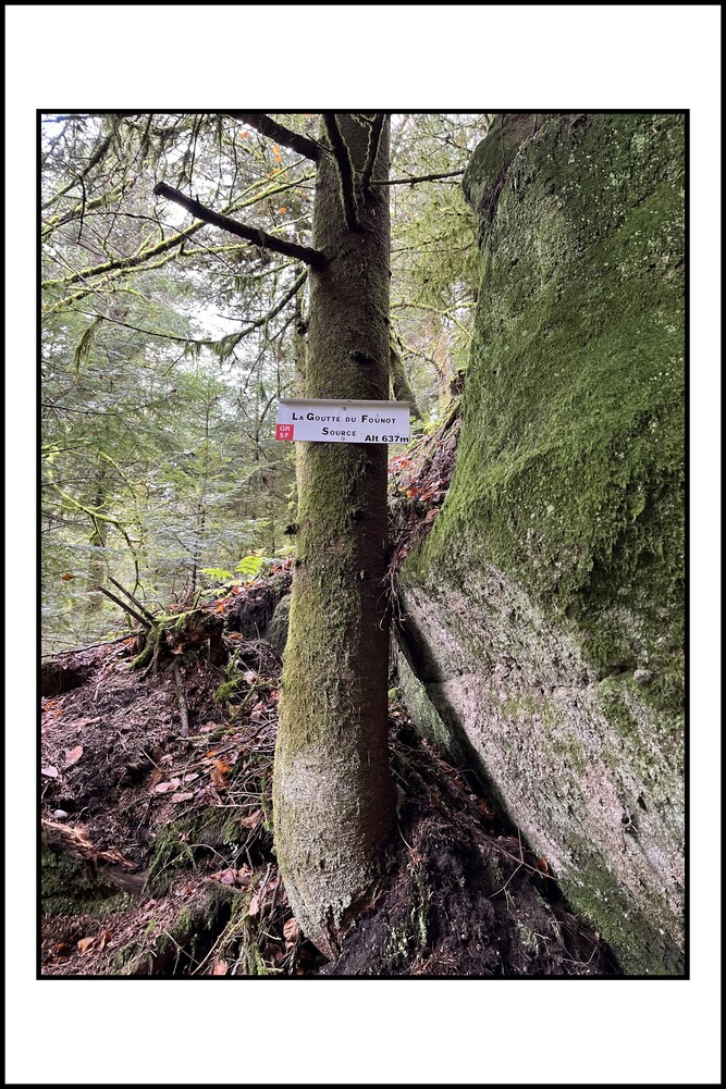 Sentier du Chalet des Gardes - Remiremont - Vosges