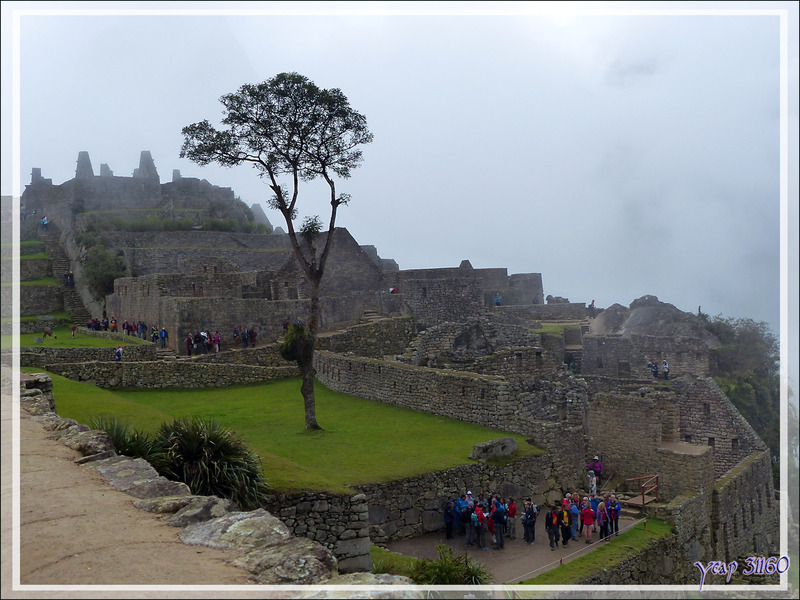 Vues brumeuses sur les ruines du Machu Picchu - Pérou