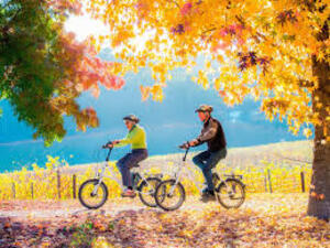walking bicycle autumn forest road 