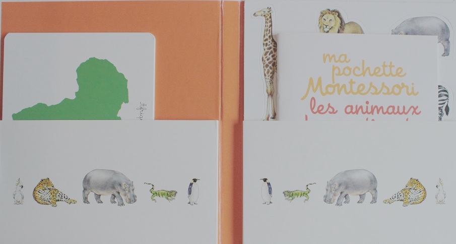  Ma pochette Montessori les animaux des continents:  9782092787892: Books