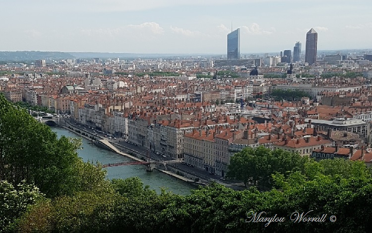 Lyon : Jardin des curiosités