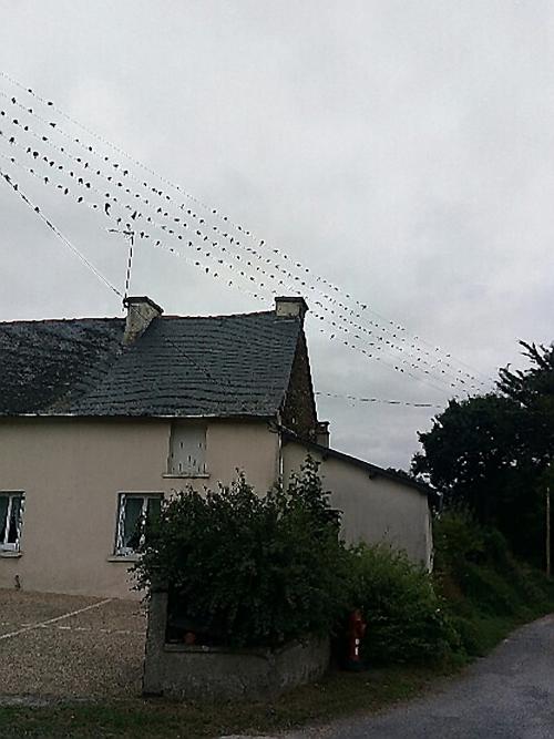 Rassemblement à Gourhel