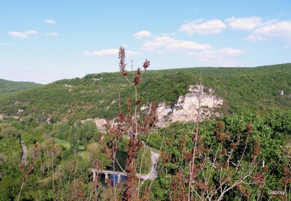 Y06 - Vue du château