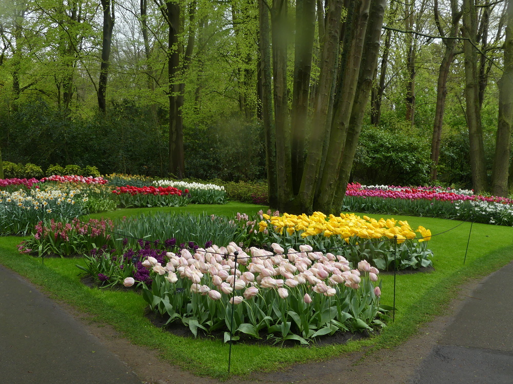 HOLLANDE EXPRESS - VOYAGE AU PAYS DE L'EAU - Jour 2  Le  Parc Floral du Keukenof