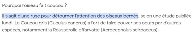 Rando au Bono le 04 04 2024 .11 randonneurs ont marché 11km sans pluie mais accompagnés par le chant du " coucou"  , dans une campagne plus qu'humide , voir gadouilleuse !!!!!