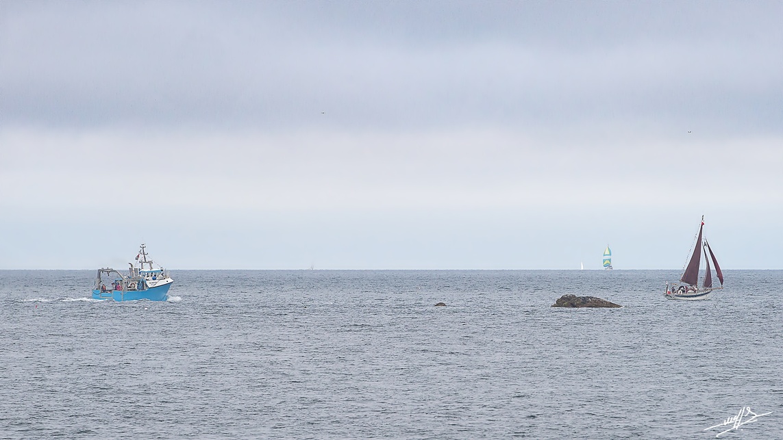 Roscoff : Le regard dans le vide ... 