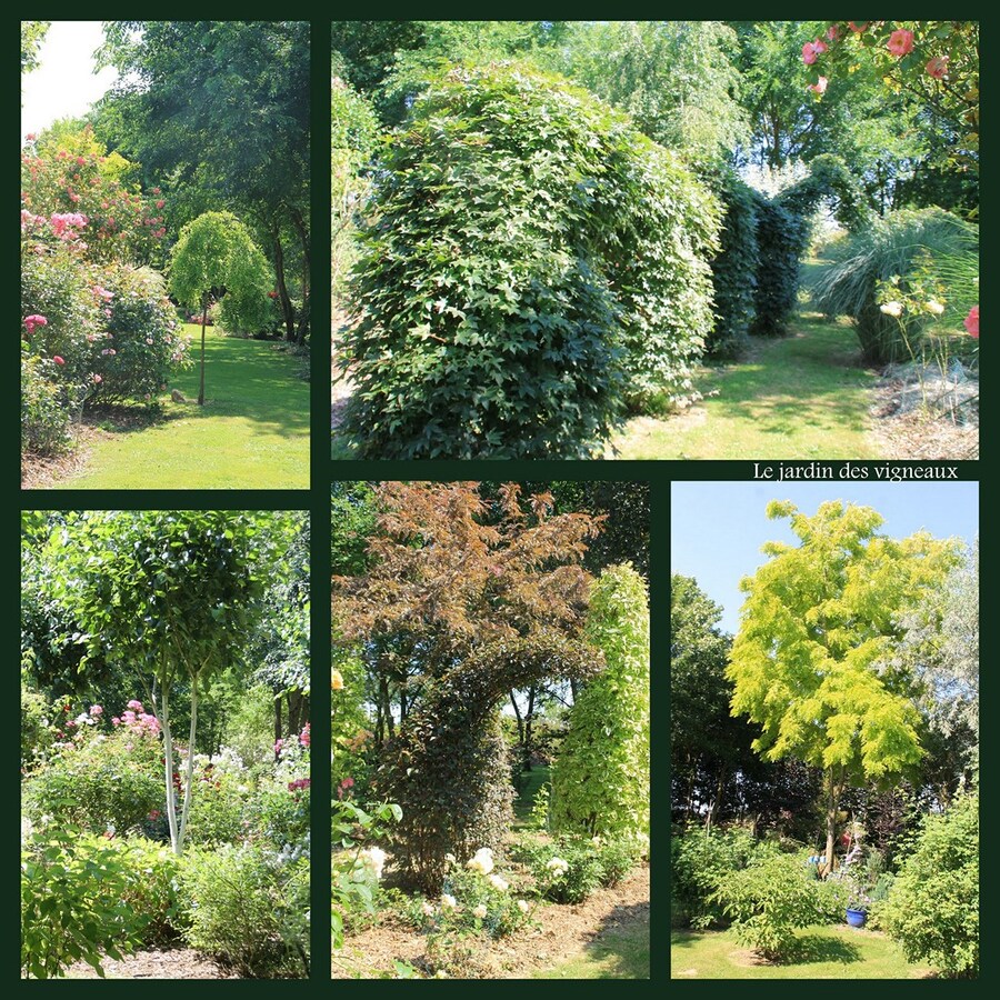 Le jardin des Vigneaux