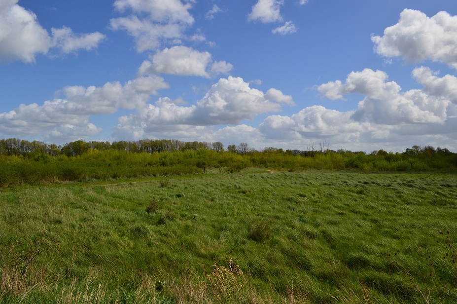 Beaugency/Lestiou, petite rando de printemps