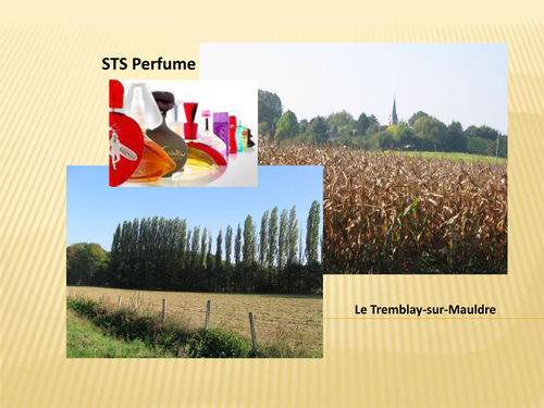 STS Parfume au Tremblay-sur-Mauldre