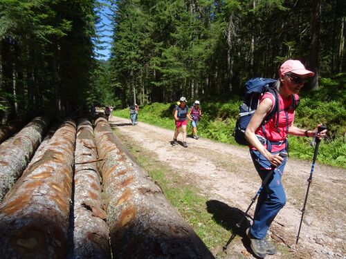 "Vosges 2022 - Après-midi du 11 juillet 2022 - Etang du Devin-Longemer"