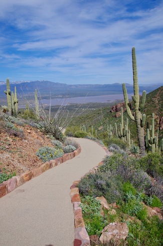 Jour 14 - l'Apache Trail, Tonto National Forest, Arizona