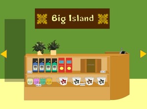Jouer à Escape in big island
