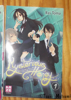 Mysterious Honey - tome 1