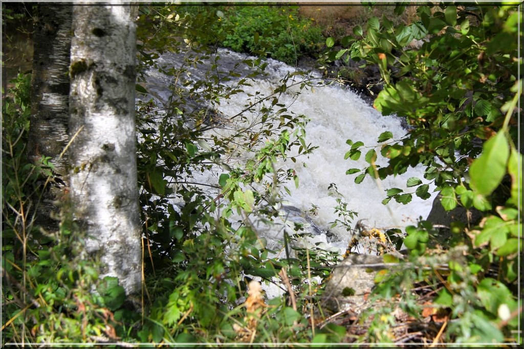 997 - Ferrières-Saint-Mary (15) ; Viaduc de Garabit (15) ; Rimeize (48) ; Fontans (48)