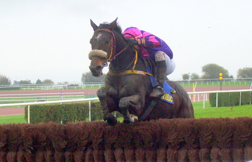 Hippodrome de la Baie Yffiniac - Réunion du 3 novembre 2013