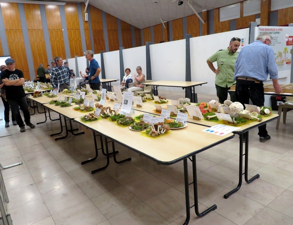 Une très belle exposition mycologique, organisée par la Société Mycologique du Châtillonnais, a eu lieu à Montbard 
