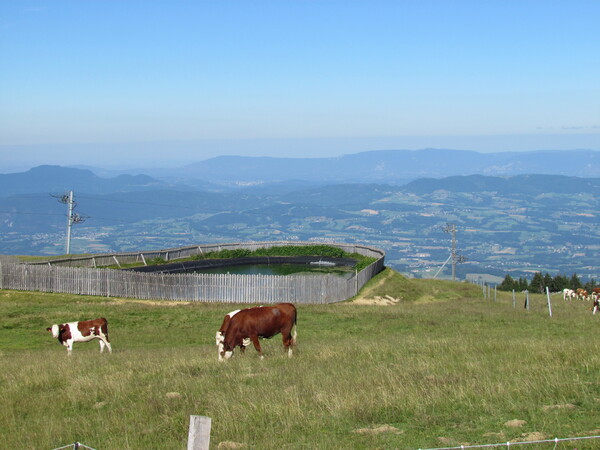 Col des Aravis (2).