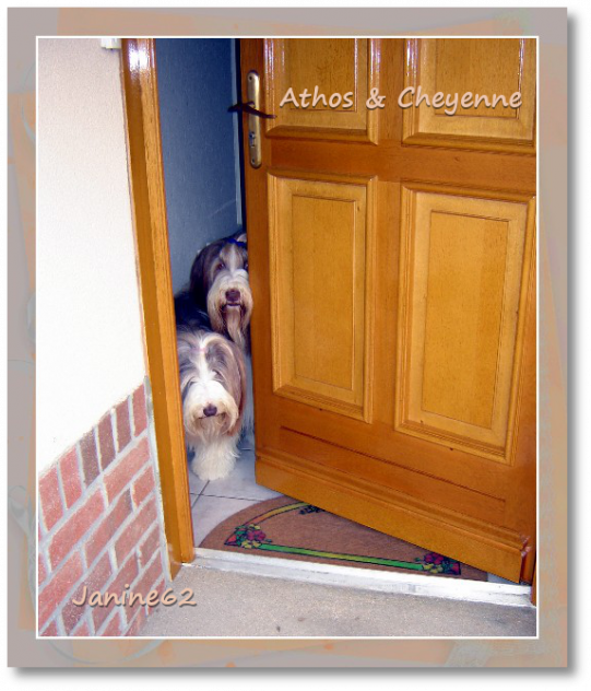 Athos & Cheyenne Athos & Cheyenne