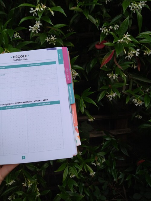 L'agenda planner de professeur des écoles