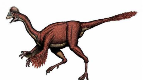 dinosaure-plumes-especes