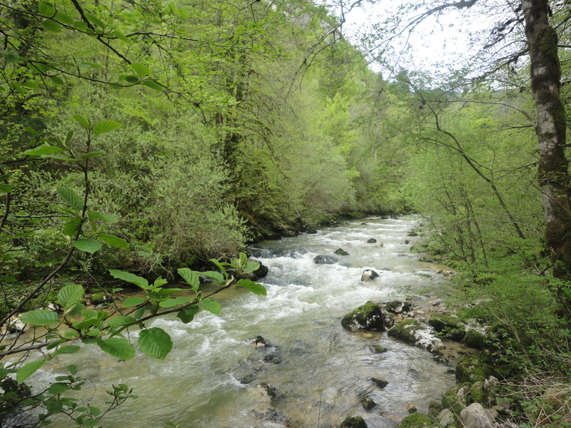 La cascade de FLUMEN (près de ST CLAUDE - JURA)