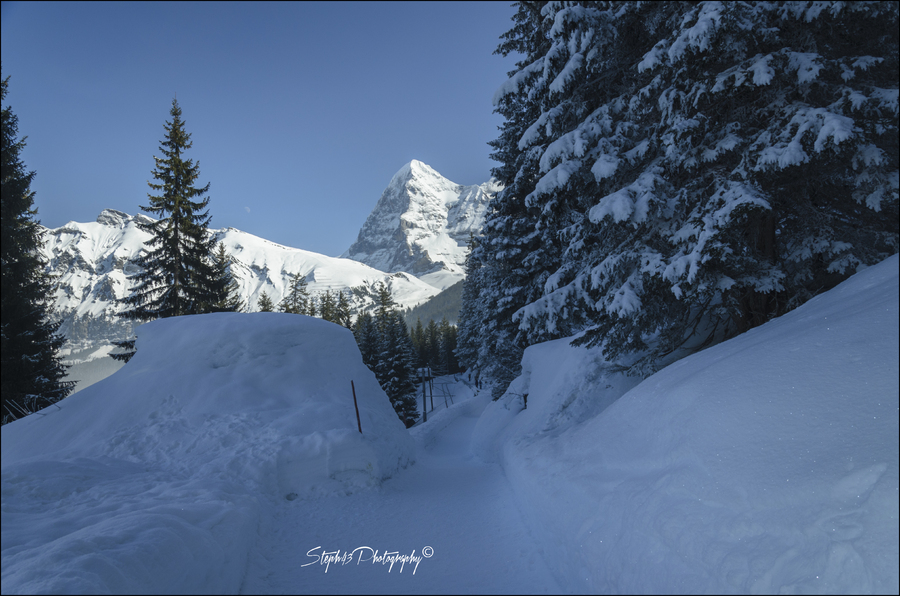 Grütschalp / Allmendhubel /  Mürren