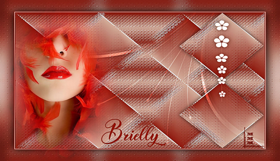 CAPAS-MMM-1113-Baseado-no-Tutorial-Brielly-Criado-por-Leni-Diniz-Traduzido-por-Evanescence.jpg