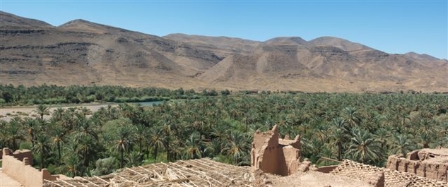 Balade dans le Sud Marocain