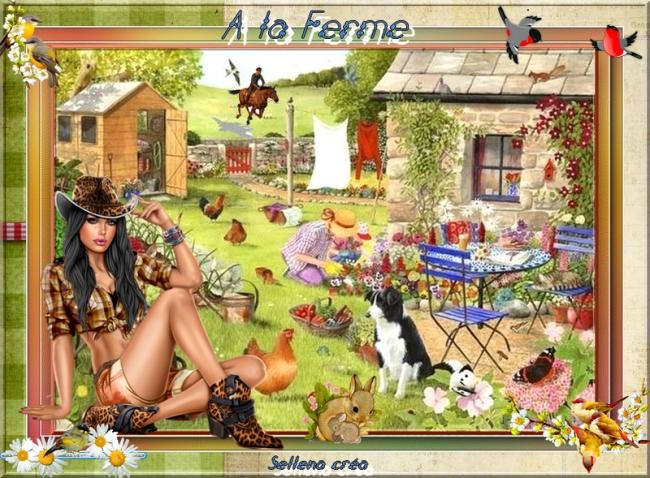 Défi 56:A la ferme.Déjà de bien belles réalisations!Bravooo***