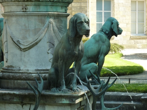 Les crépidules du château de Fontainebleau