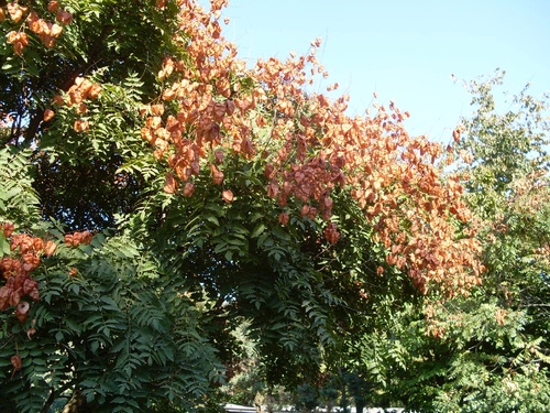 Du blanc et de la couleur