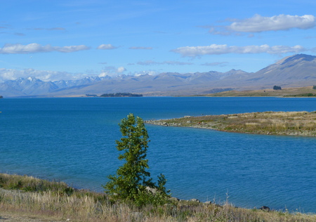 Nouvelle-Zélande 