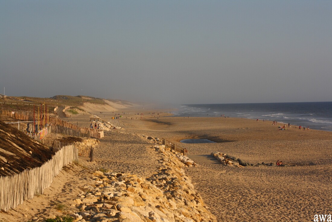 Lacanau océan juillet 2015