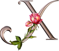 Lettre fleur rose