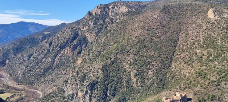 Peut être une image de arbre, montagne et nature