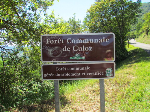 Sur la route du col du Grand Colombier (1).