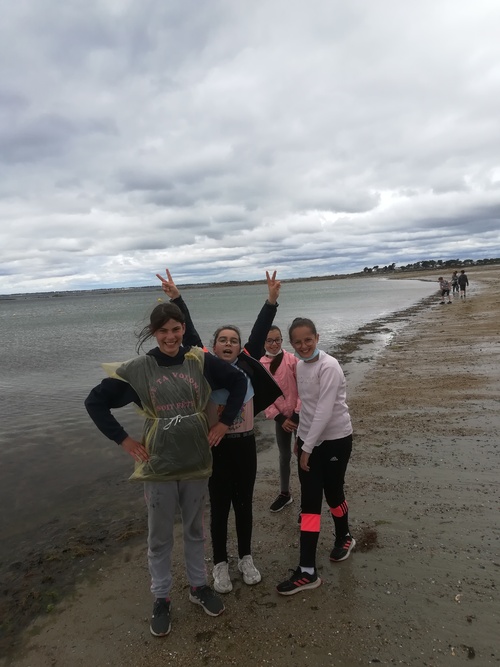 Rando entre La Trinité sur Mer et Carnac