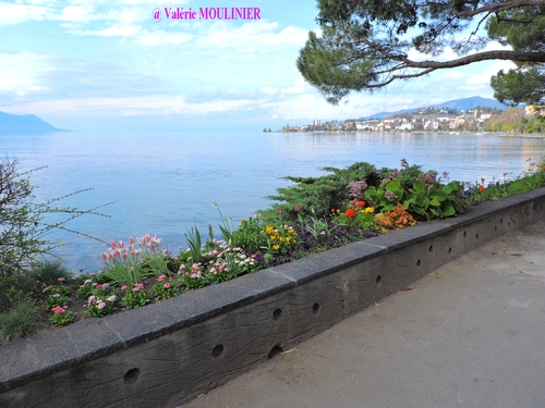 Montreux : mes photos