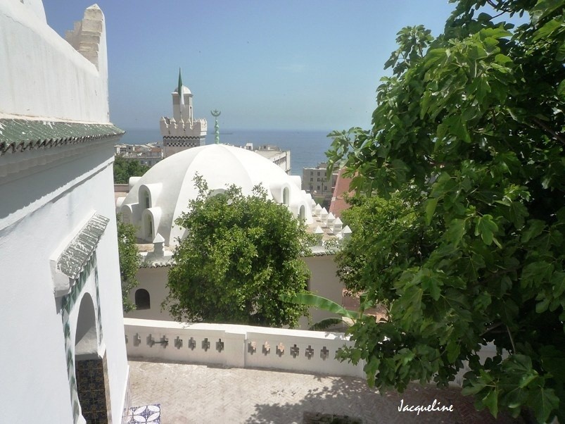 alger2009-442.jpg