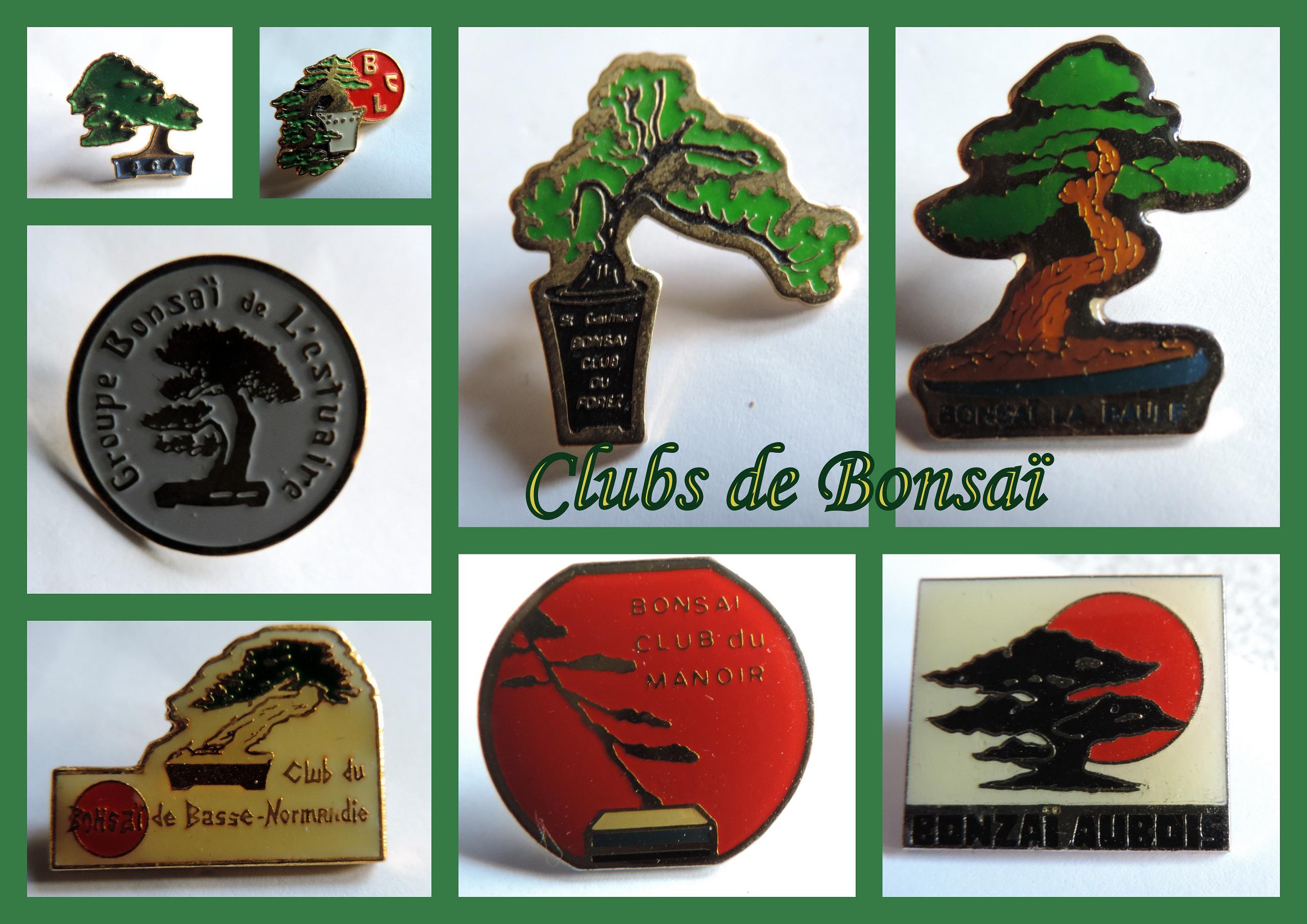 PIN'S....