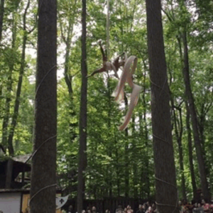 dance ballet class aerial acrobats forest 