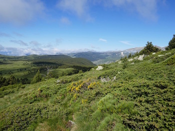 Un peu avant le sommet du Pic de la Calm