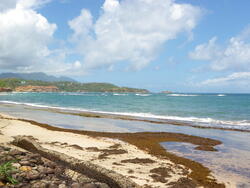 Des SAINTES vers la MARTINIQUE via la DOMINIQUE