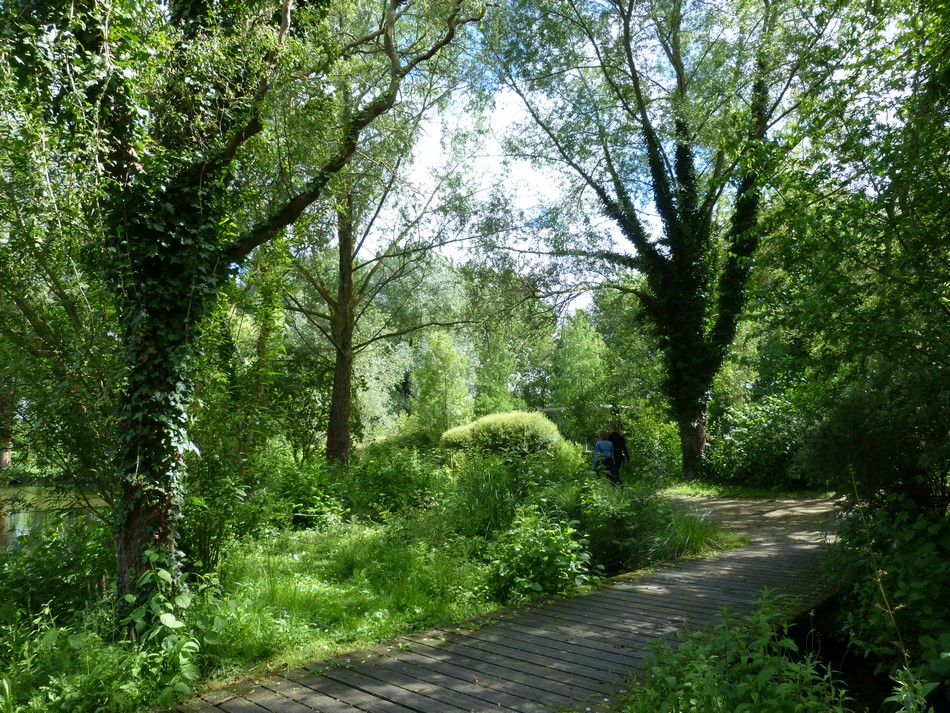 Promenade dans ma ville 