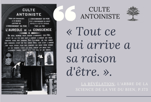 La Révélation, L'arbre de la science de la vie du bien (p.173 §1)