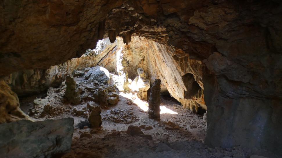 Aucune description de photo disponible.