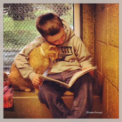 09 - Des chats, des enfants et des livres