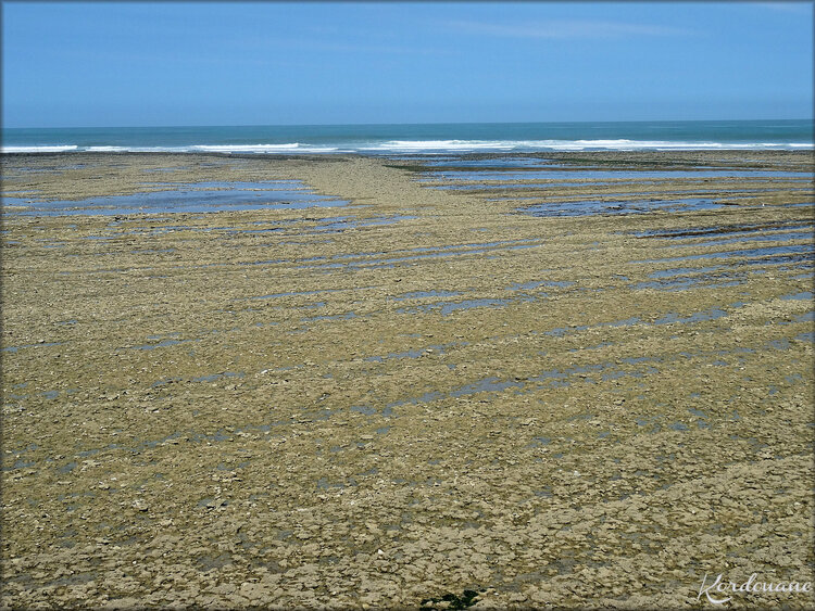 L'écluse, un système de pêche ancestral (Oléron)