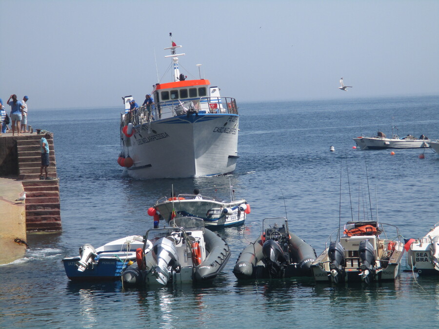 SUITE N° 6 DE BERLENGA AU PORTUGAL